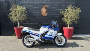 Suzuki RG 500